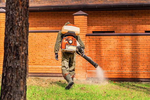 Trusted Bed Bug Control service in Sangaree, SC - Nex Pest Control